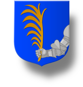 Blason et armoiries famille Villardi