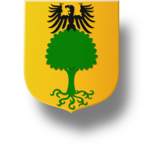 Blason et armoiries famille d'Augustine