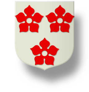 Blason et armoiries famille de Bellingant