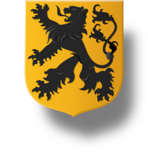 Blason et armoiries famille de Bruyères