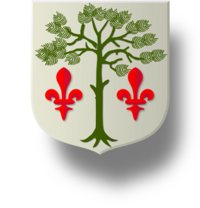 Blason et armoiries famille de Budes