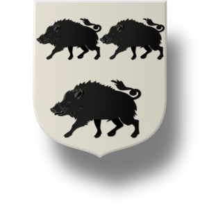 Blason et armoiries famille de Castellan