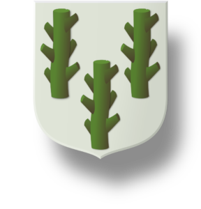 Blason et armoiries famille Chesnel