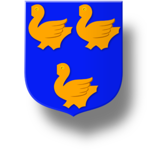 Blason et armoiries famille Colin