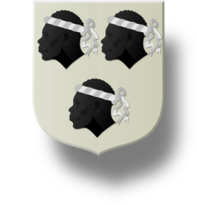 Blason et armoiries famille du Chasse