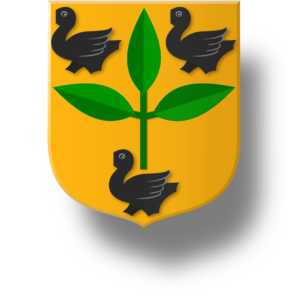 Blason et armoiries famille d'Erard
