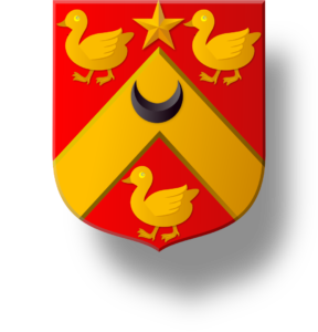 Blason et armoiries famille de Martineng