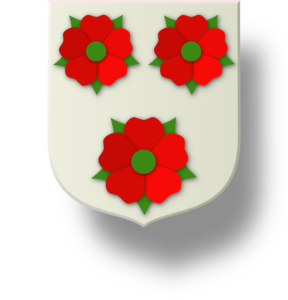 Blason et armoiries famille d'Isle de Beauchêne