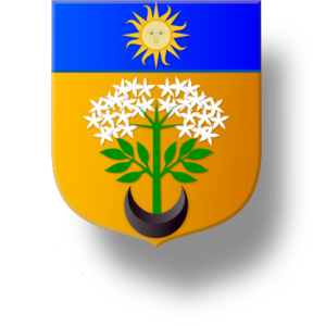 Blason et armoiries famille de Sambucy