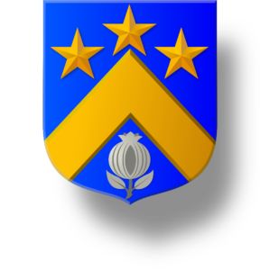 Blason et armoiries famille Bigot
